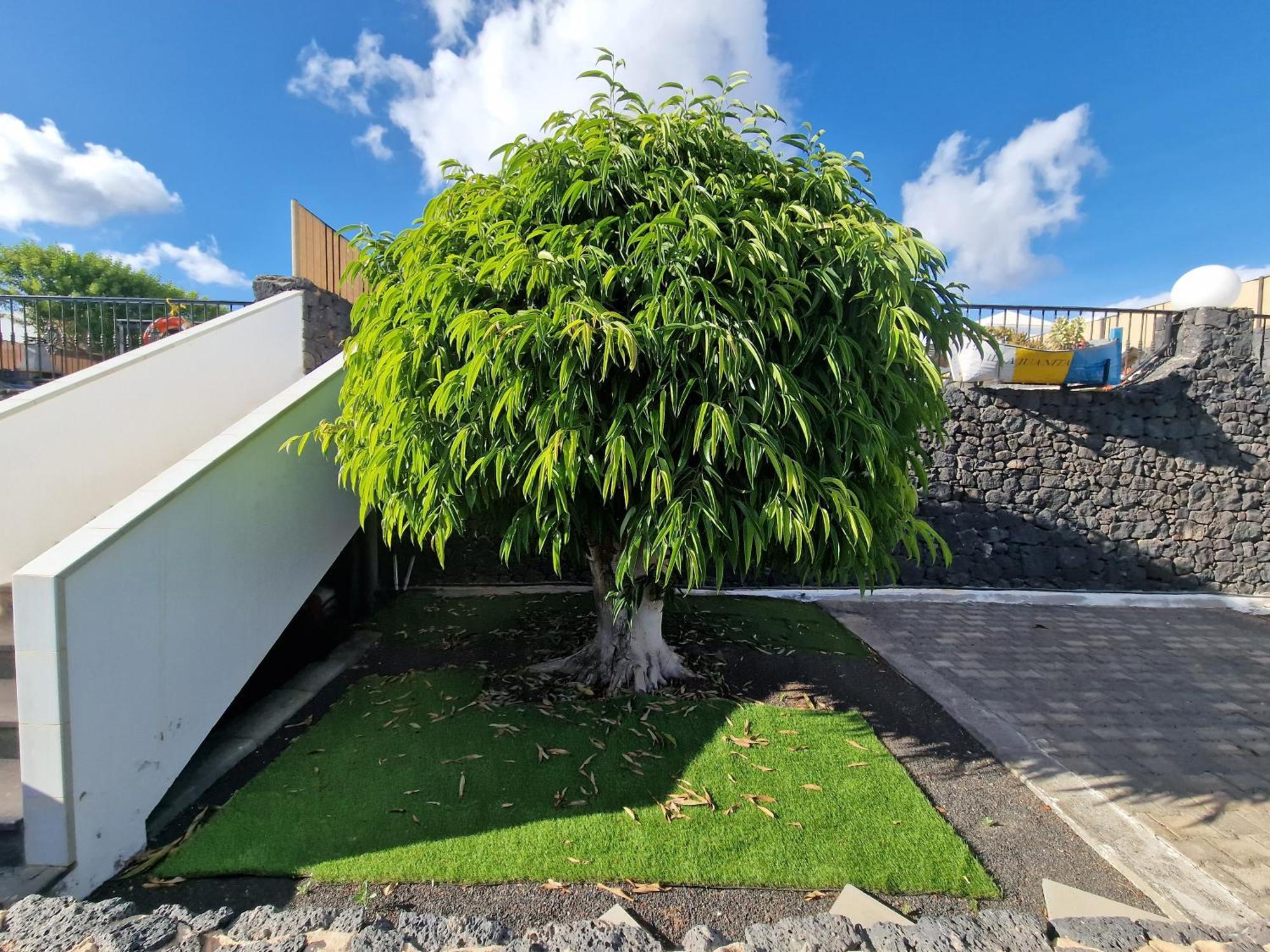 Villa Juanita, Puerto Del Carmen, Lanzarote Tías Kültér fotó